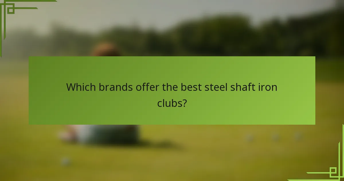 Which brands offer the best steel shaft iron clubs?